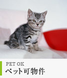 ペット可の賃貸物件特集